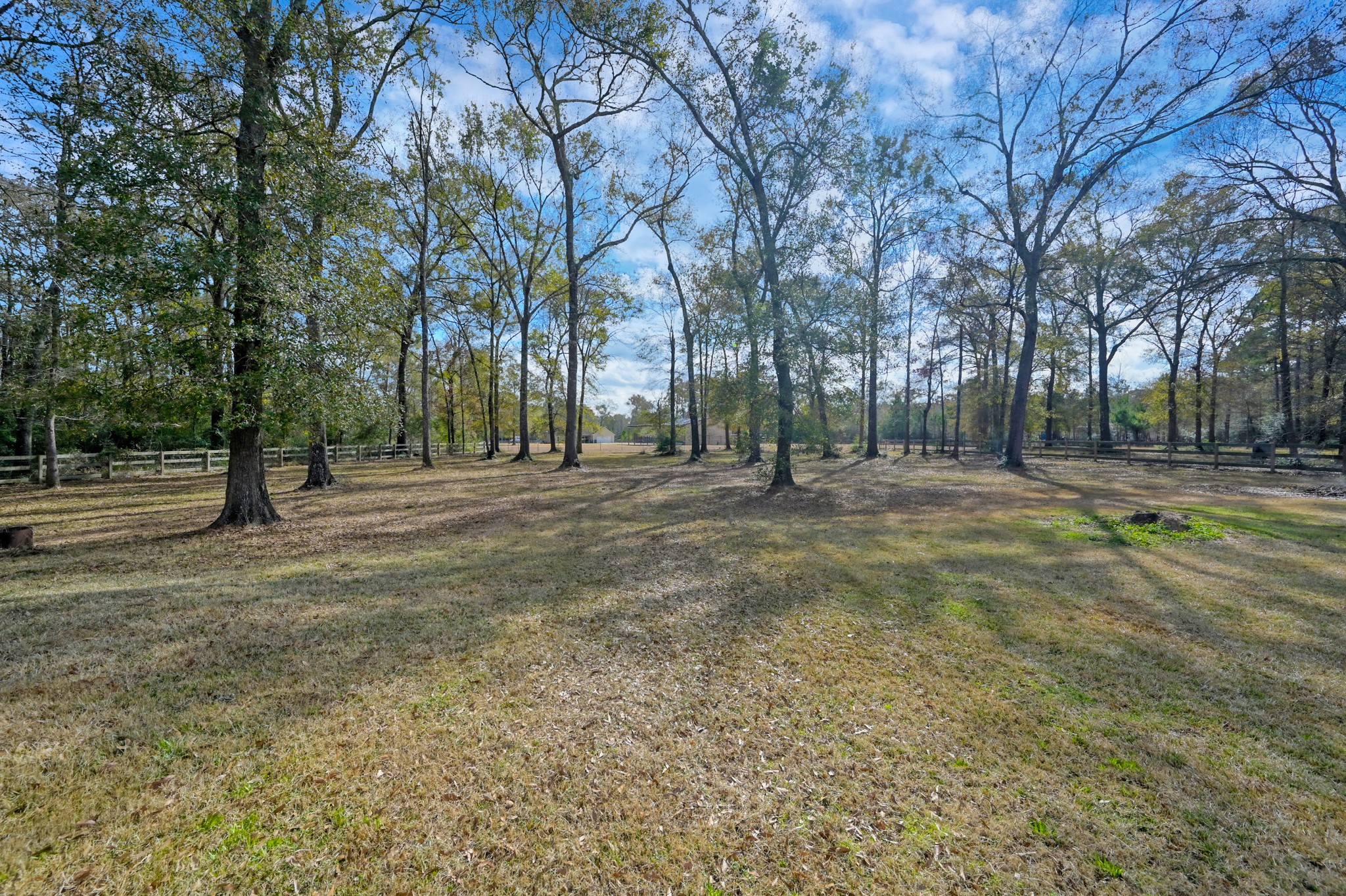 19006 August Circle Cleveland, TX 77328 - Photo 36 of 44