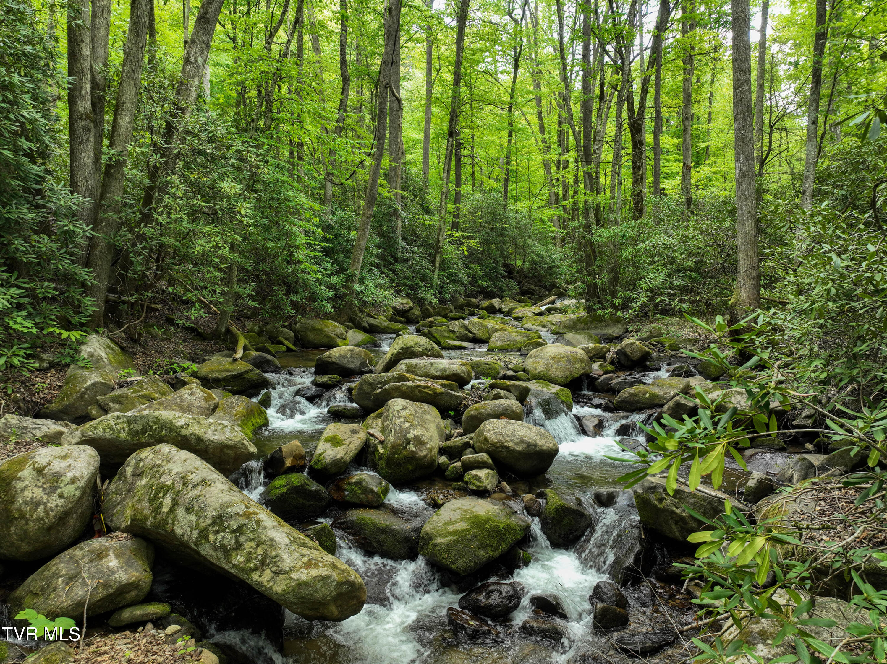 275 Tiger Creek Road Roan Mountain, TN 37687 - Photo 89 of 104 275 Tiger Creek Rd Drone WALLACE-36