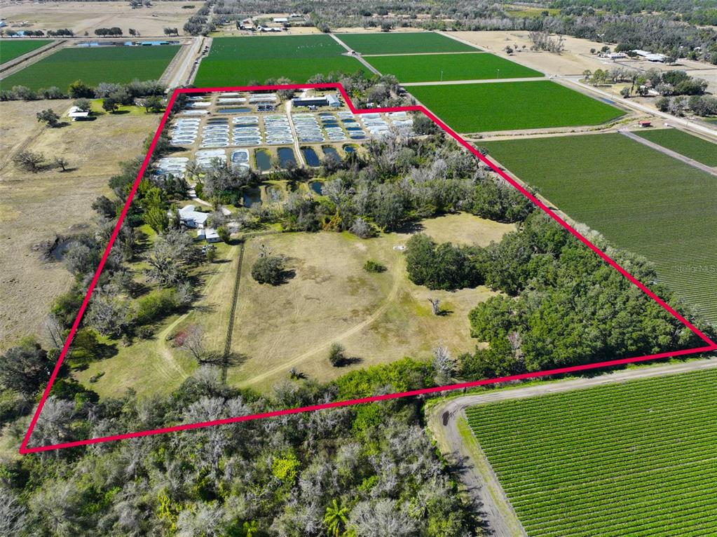 20112 Hobbs Road Wimauma, FL 33598 - Photo 2 of 97