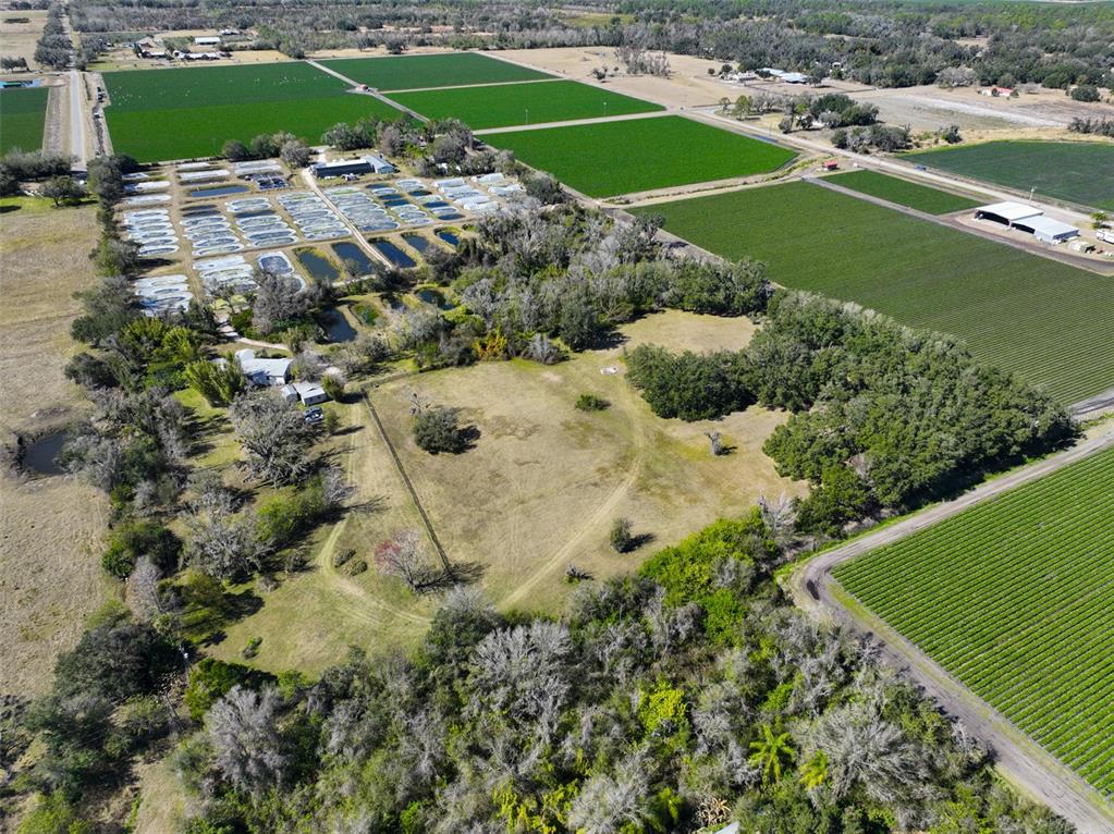 20112 Hobbs Road Wimauma, FL 33598 - Photo 54 of 97