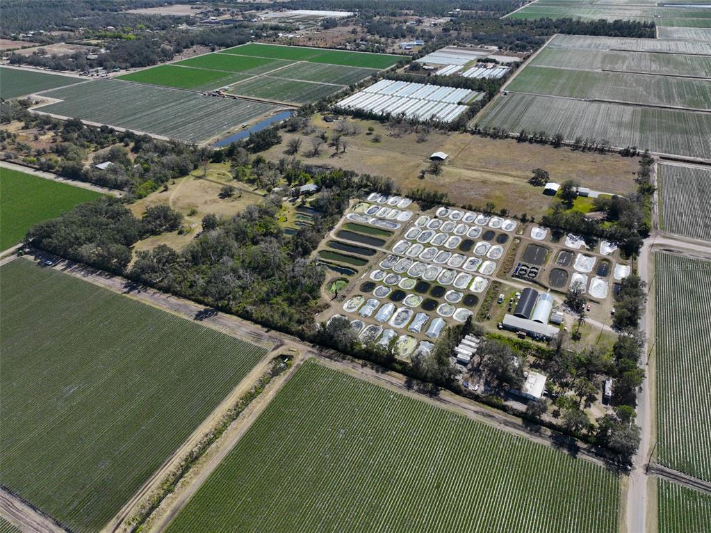 20112 Hobbs Road Wimauma, FL 33598 - Photo 57 of 97