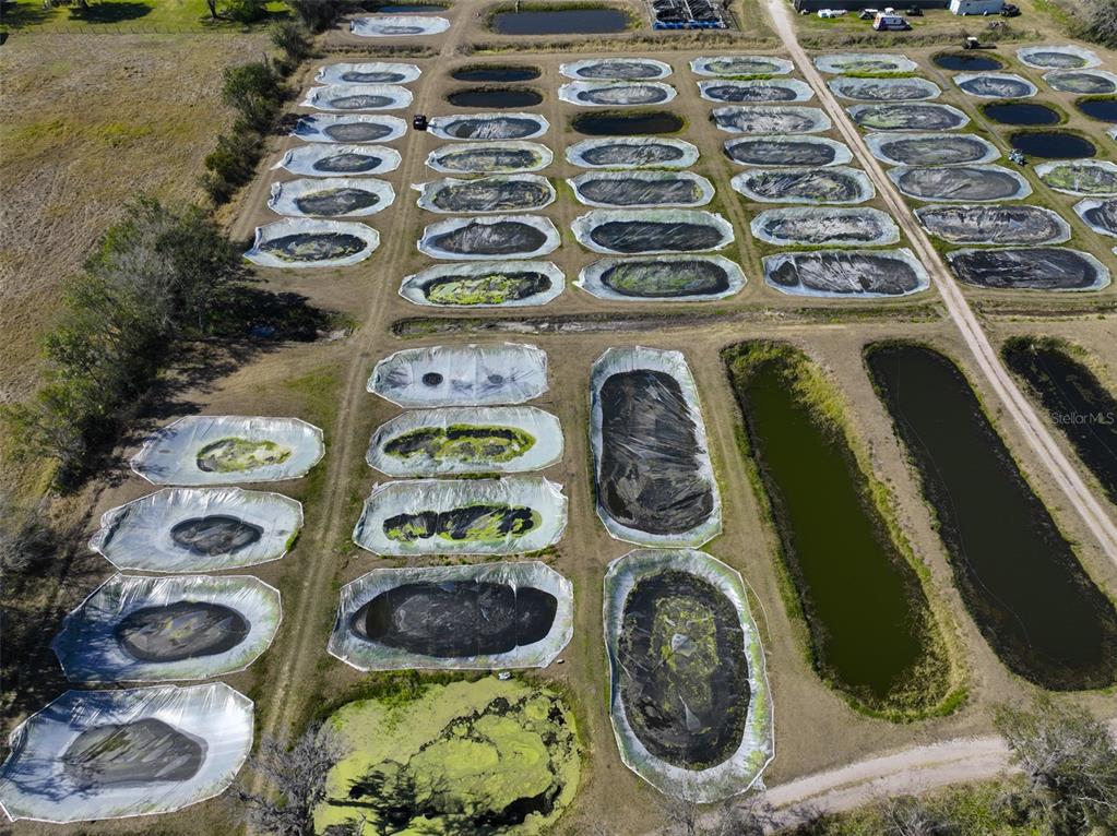 20112 Hobbs Road Wimauma, FL 33598 - Photo 60 of 97