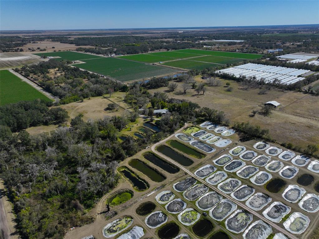 20112 Hobbs Road Wimauma, FL 33598 - Photo 90 of 97