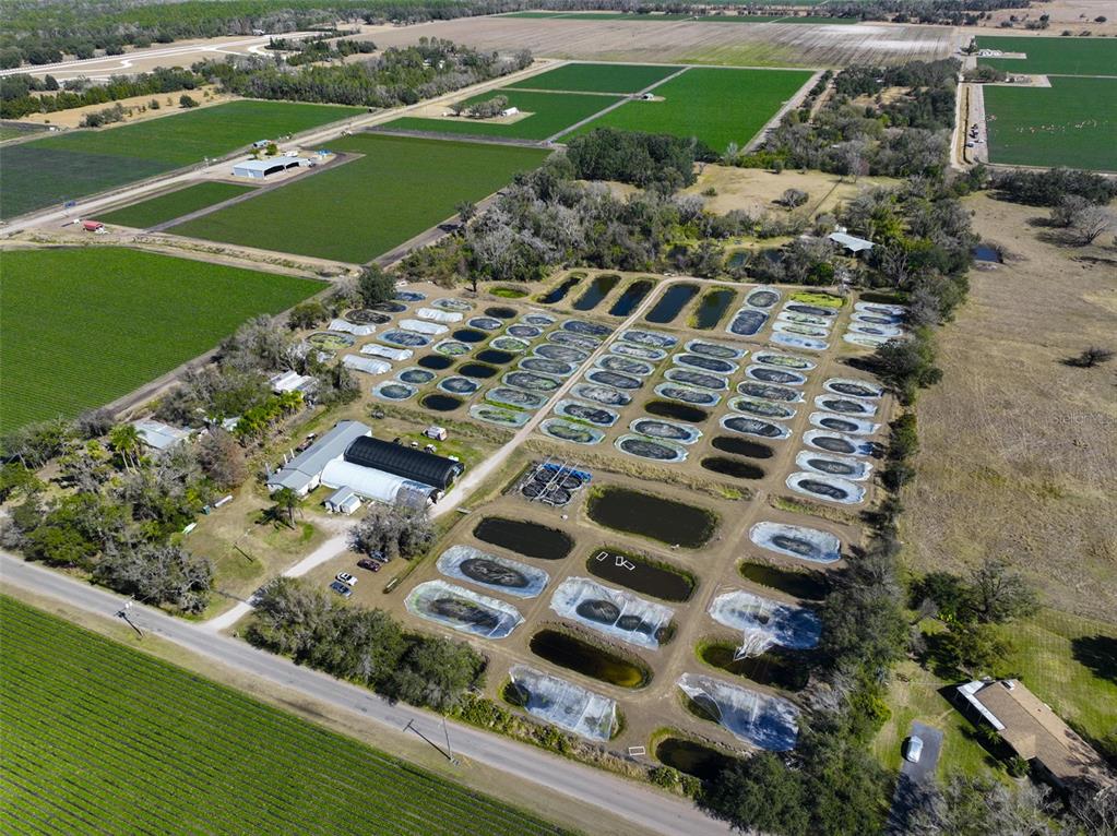 20112 Hobbs Road Wimauma, FL 33598 - Photo 93 of 97