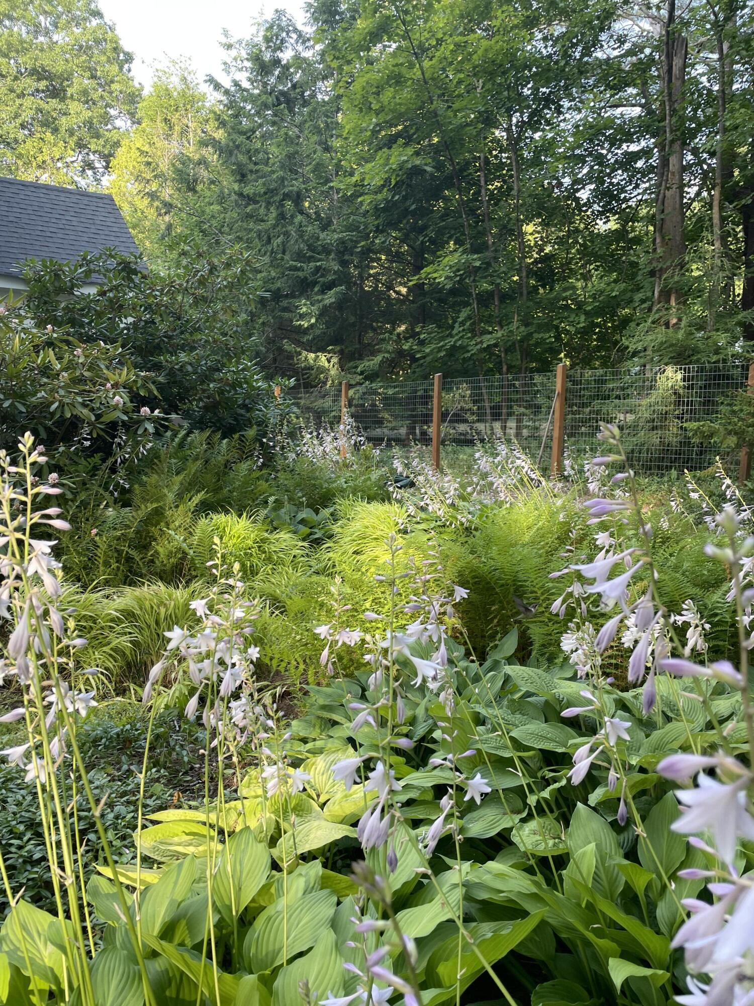 21 Johnson Road Falmouth, ME 04105 - Photo 62 of 73 Back yard gardens