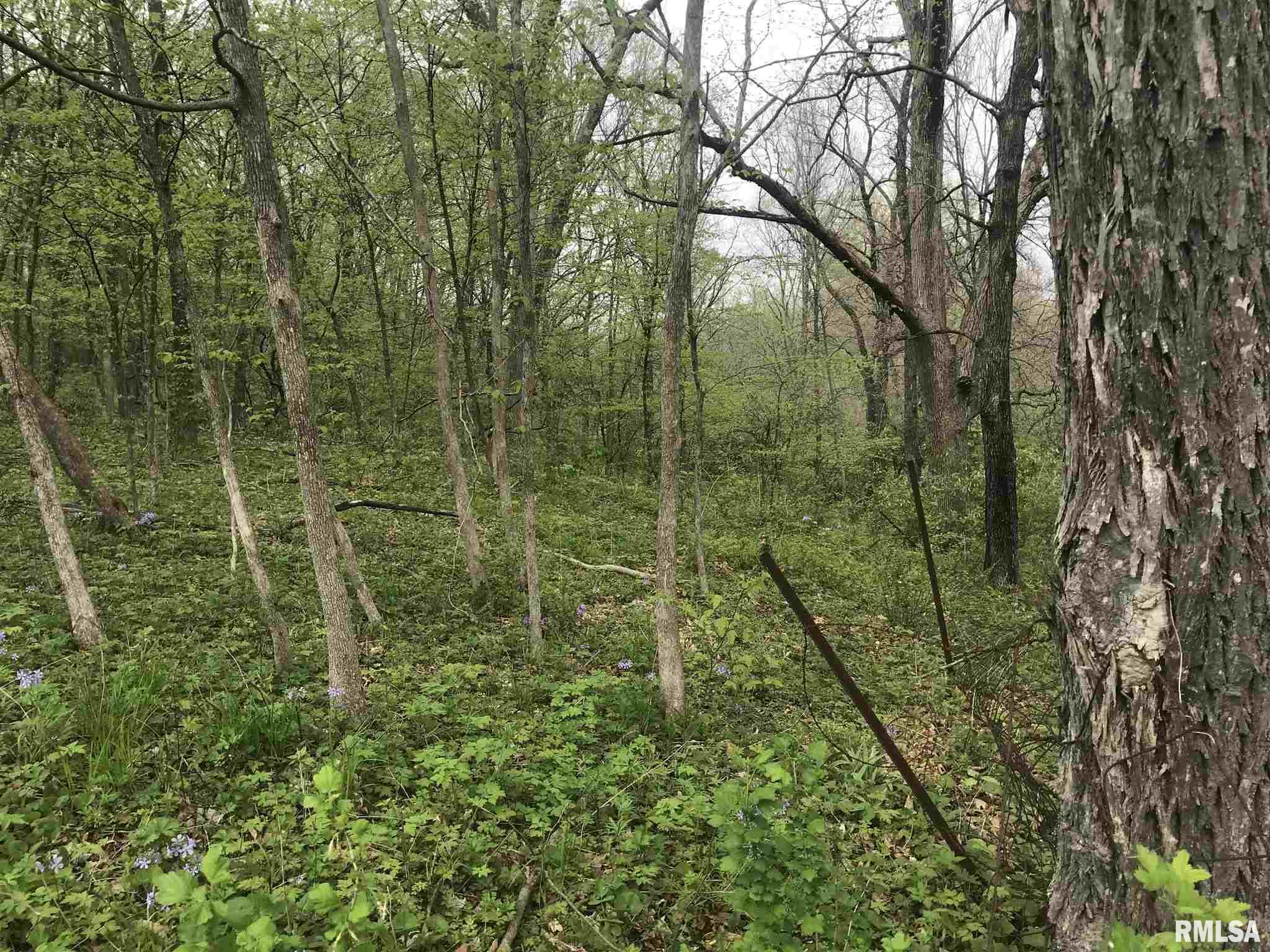 0 North Savage Road Brimfield, IL 61517 - Photo 17 of 17 Gallery Image 17