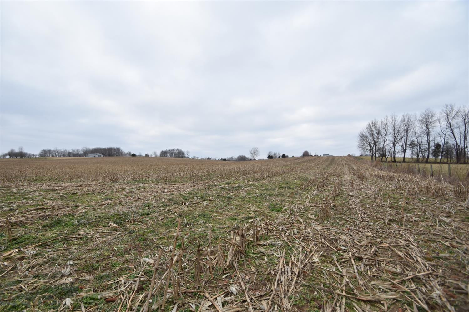 355 Cole Road Harrodsburg, KY 40330 - Photo 9 of 15 Photo 9