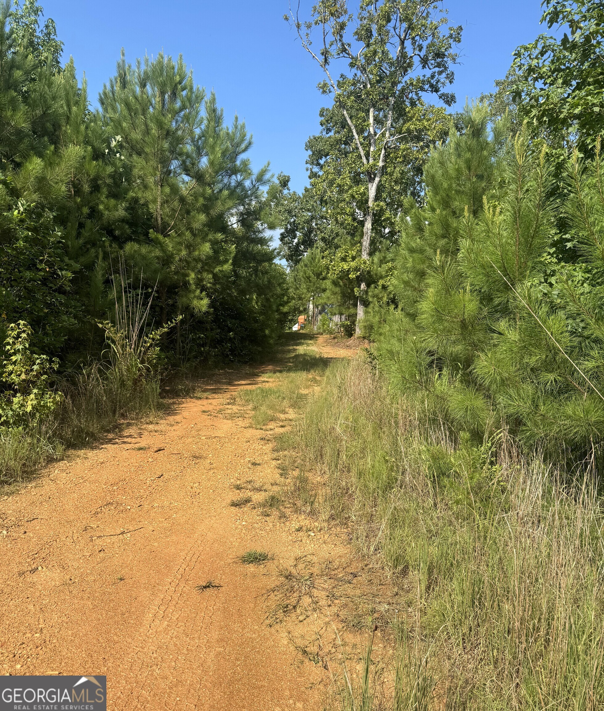 0 Co Rd 49 Muscadine, AL 36269 - Photo 5 of 6