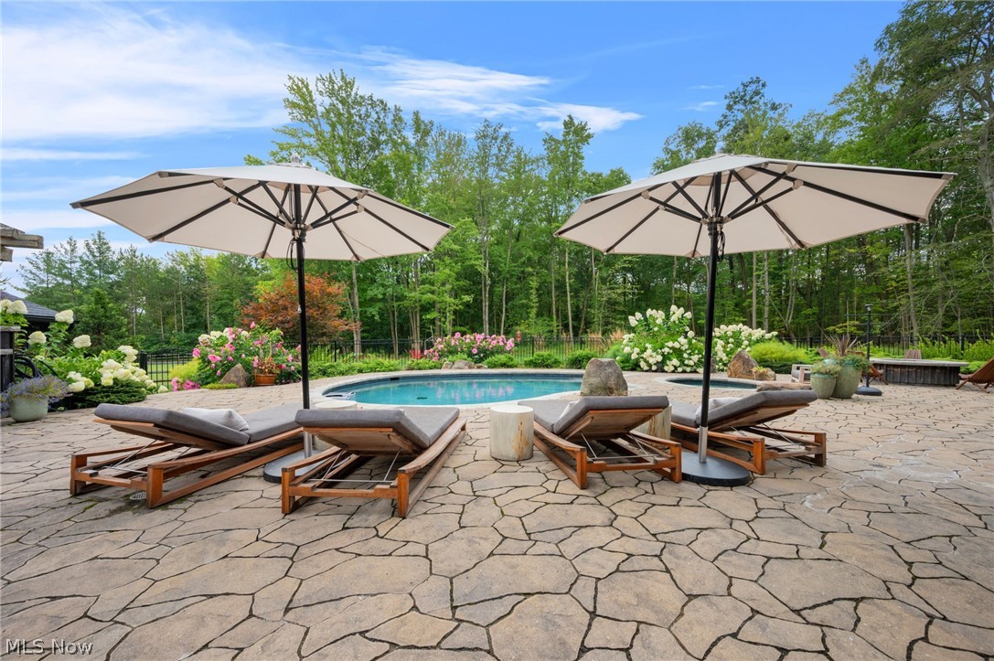 7340 Valley View Road Hudson, OH 44236 - Photo 37 of 50 In-ground salt water pool
