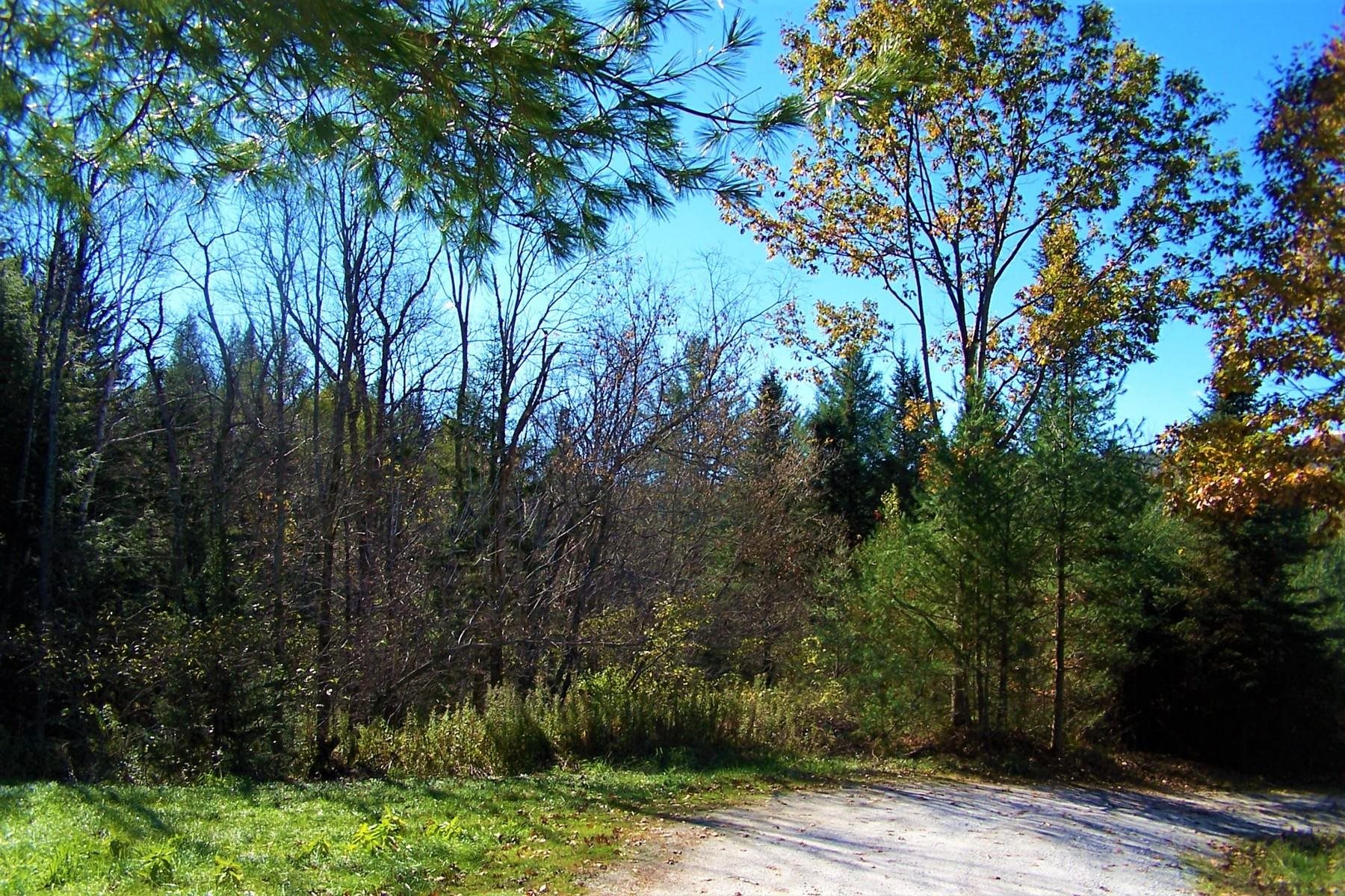 103 Pond Hill Road Wallingford, VT 05742 - Photo 2 of 16
