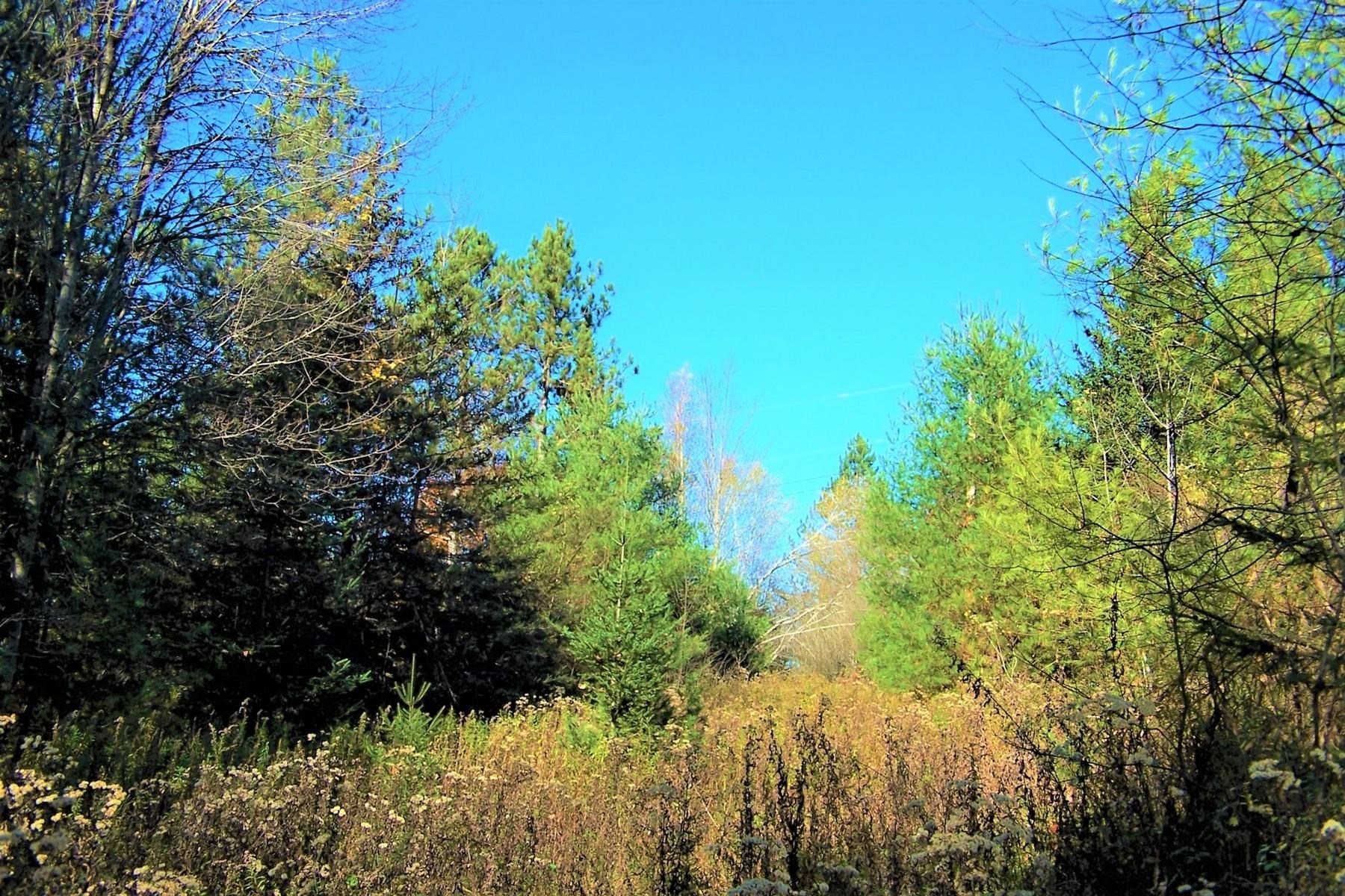 103 Pond Hill Road Wallingford, VT 05742 - Photo 13 of 16