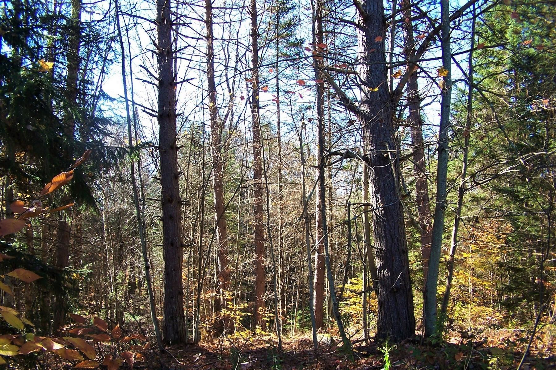 103 Pond Hill Road Wallingford, VT 05742 - Photo 14 of 16