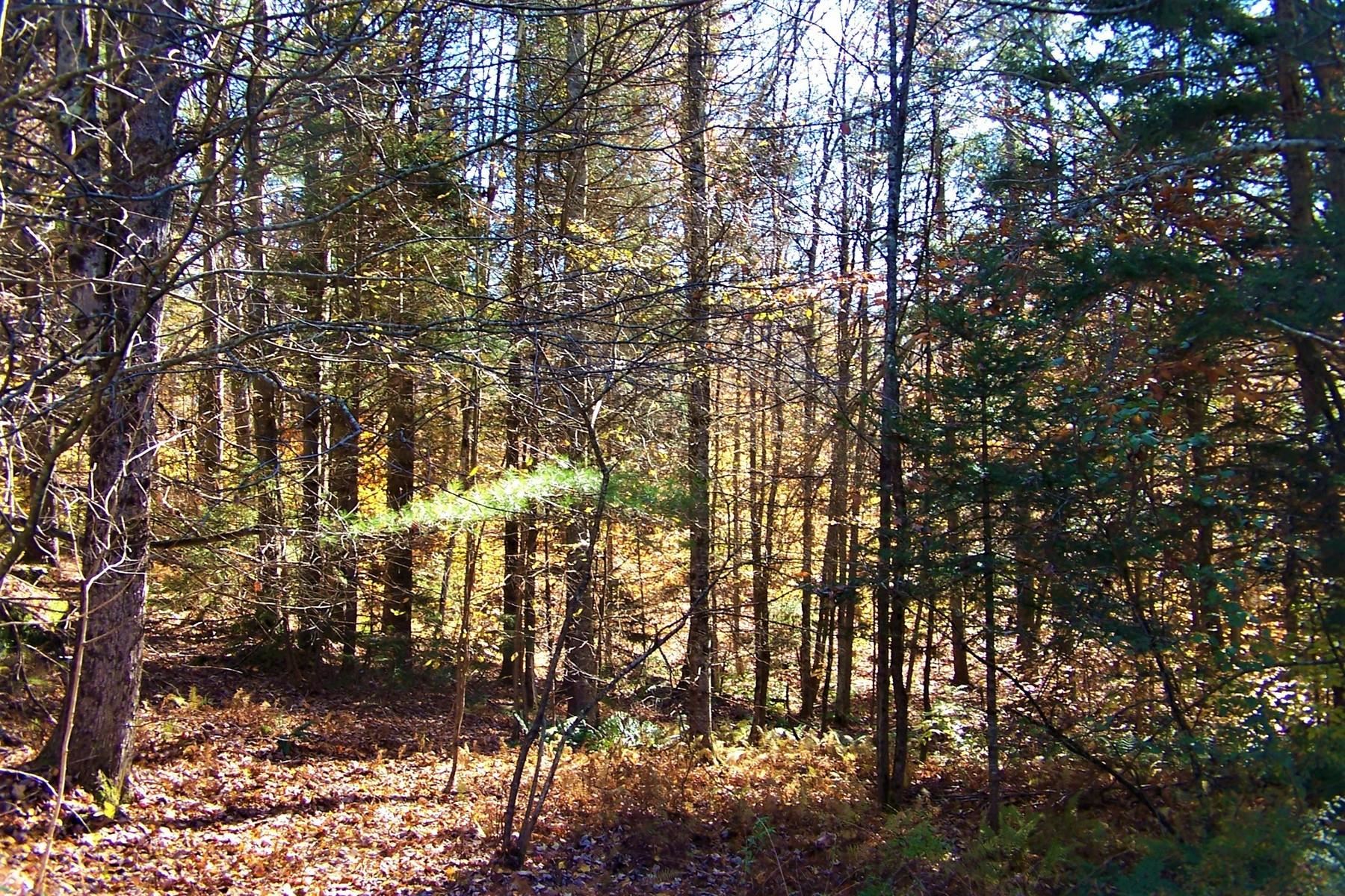 103 Pond Hill Road Wallingford, VT 05742 - Photo 15 of 16