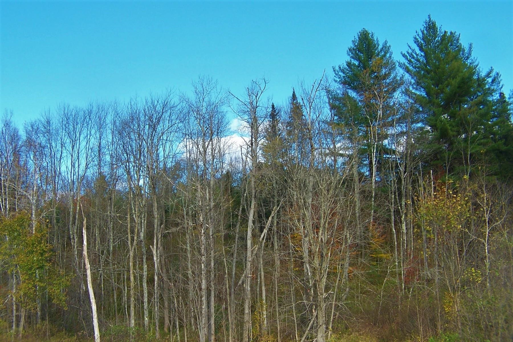 103 Pond Hill Road Wallingford, VT 05742 - Photo 16 of 16