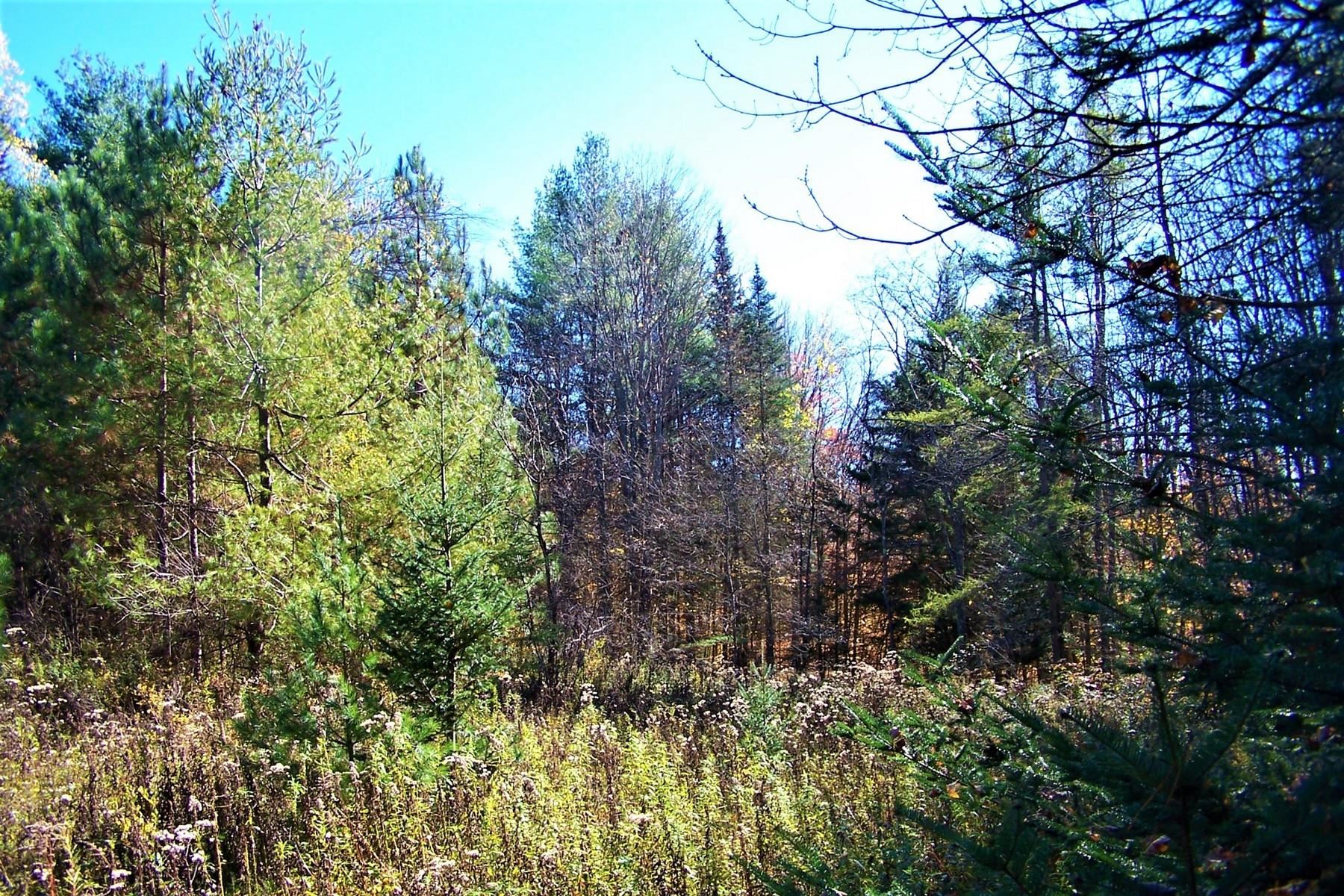 103 Pond Hill Road Wallingford, VT 05742 - Photo 4 of 16