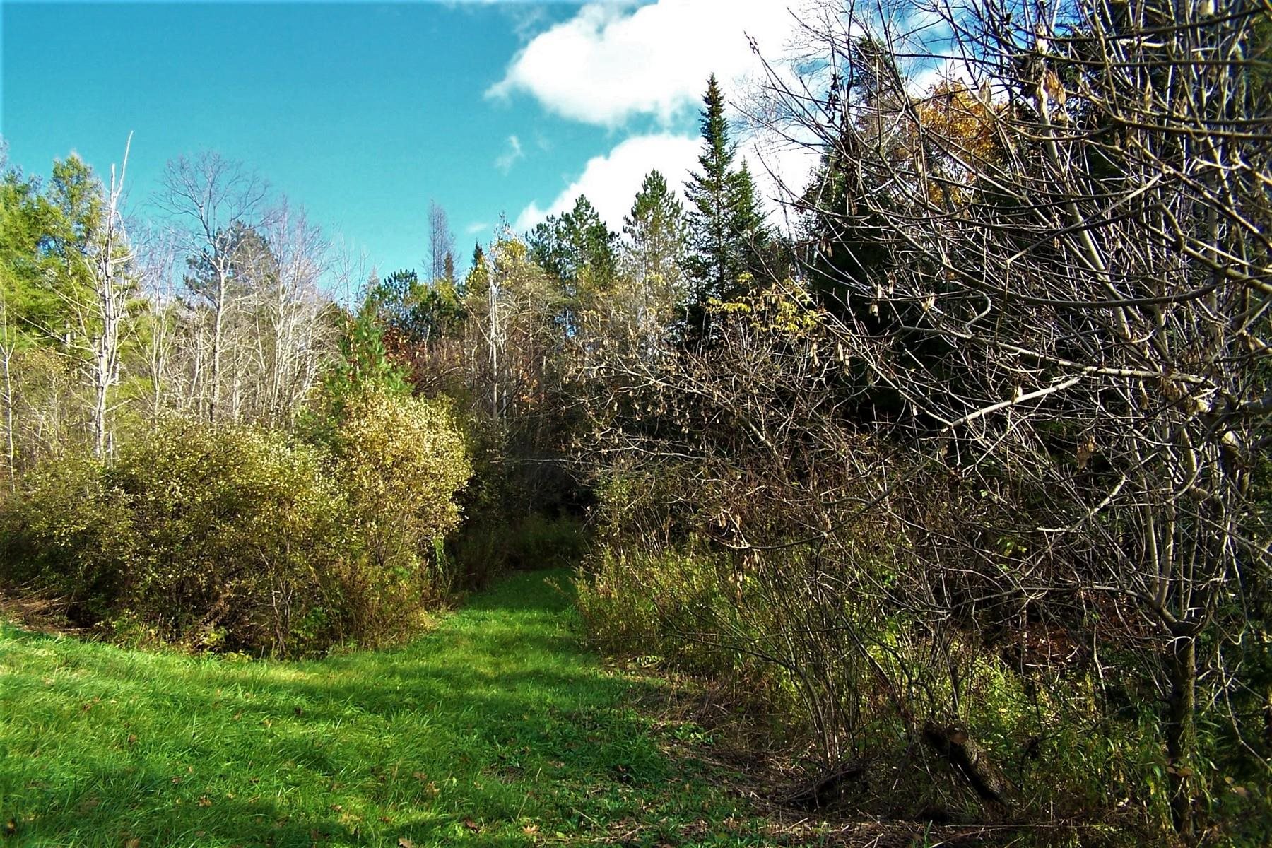 103 Pond Hill Road Wallingford, VT 05742 - Photo 10 of 16