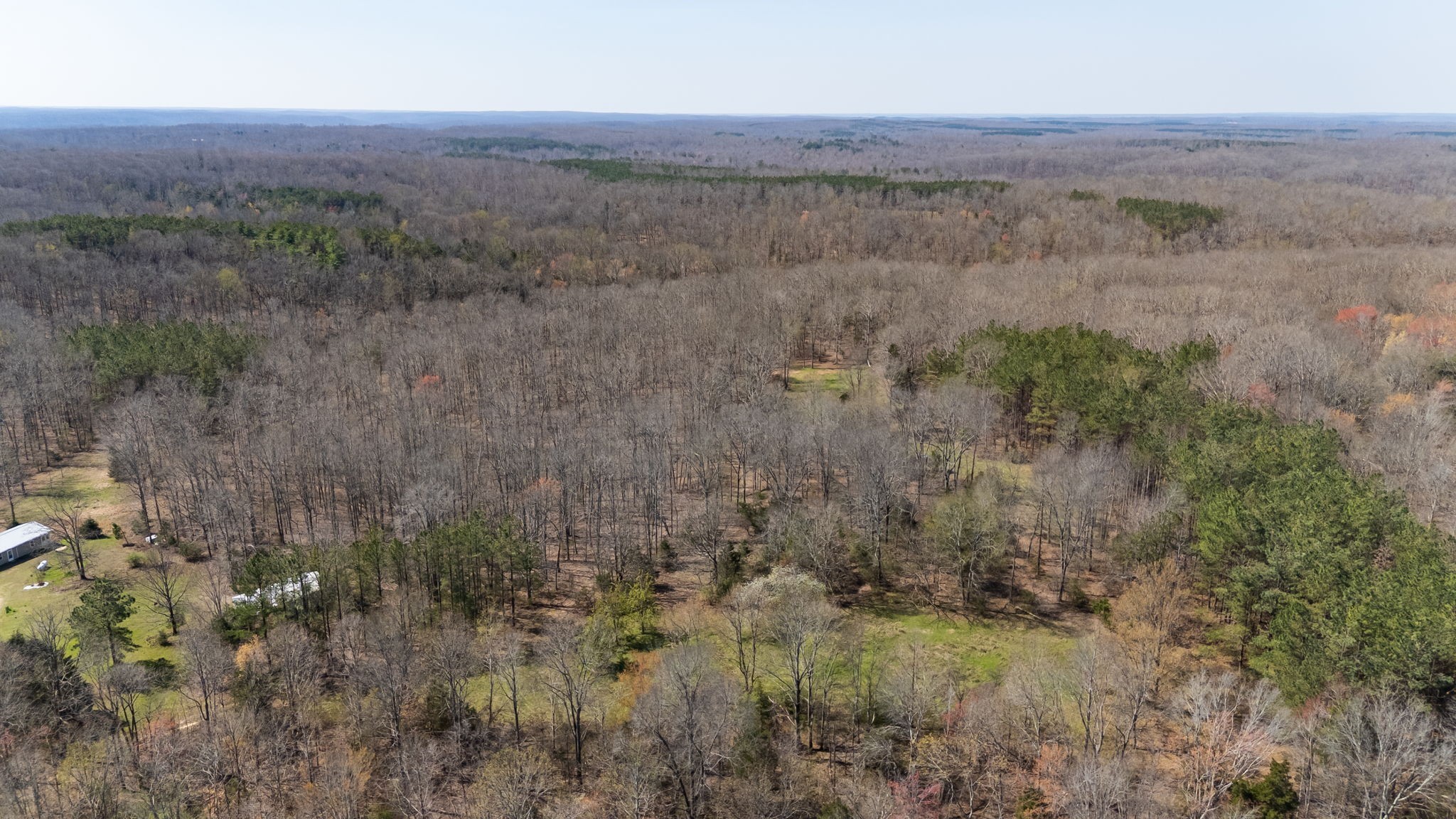 1300 New She Boss Road Duck River, TN 38454 - Photo 44 of 56