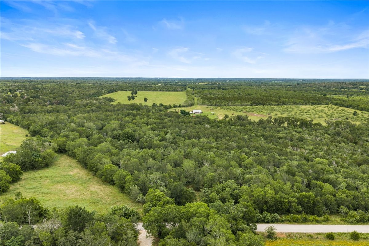 0 Charcoal Road Rosanky, TX 78953 - Photo 6 of 10