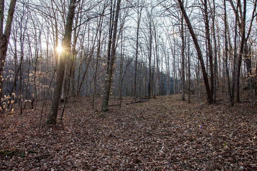 0 Midway Road Alum Creek, WV 25003 - Photo 4 of 7 Gallery Image 4