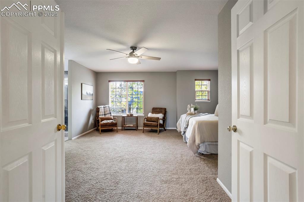 3140 River Valley View Colorado Springs, CO 80922 - Photo 25 of 49 a view of a livingroom with furniture and a window