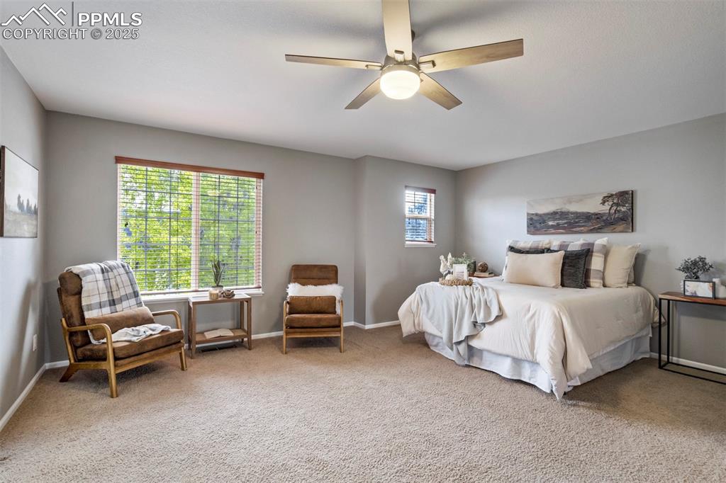 3140 River Valley View Colorado Springs, CO 80922 - Photo 26 of 49 a spacious bedroom with a bed and a couch