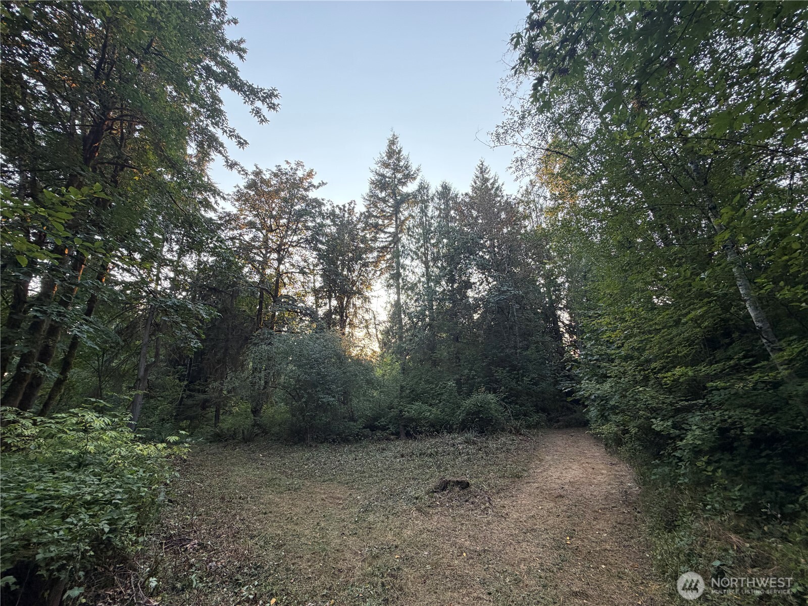19009 51st Avenue Southeast Bothell, WA 98012 - Photo 19 of 40 Gallery Image 19