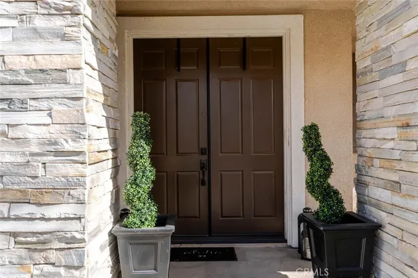 a potted plant in front of a door