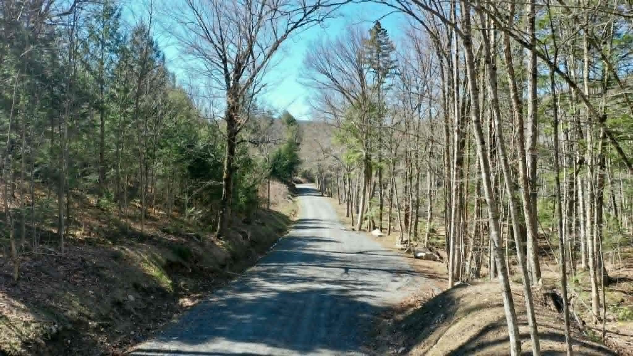 0 Turkey Mountain Road Jamaica, VT 05343 - Photo 15 of 49 Gallery Image 15
