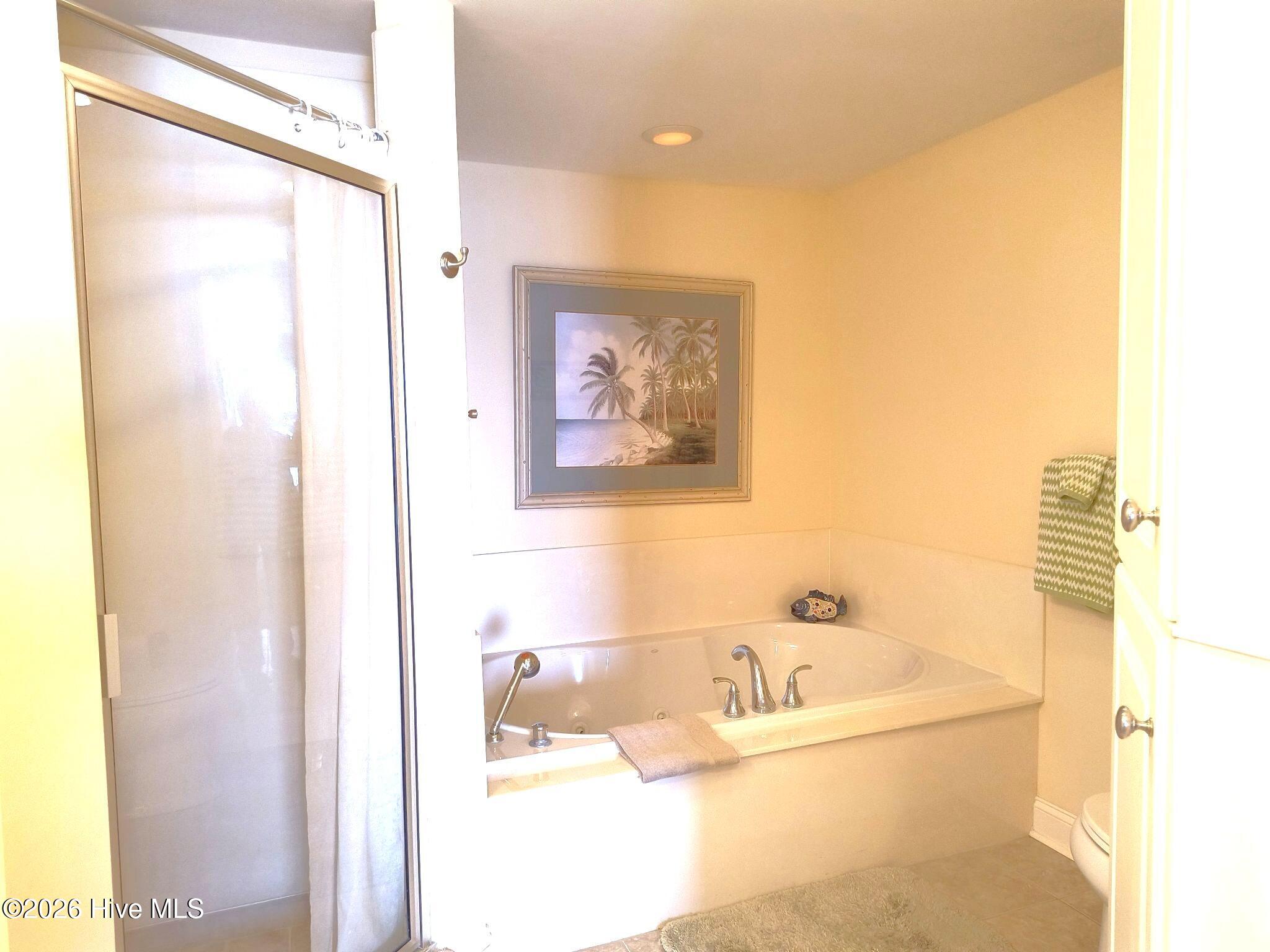 1550 Salter Path Road, Unit 209 Indian Beach, NC 28512 - Photo 15 of 31 MBath view 2