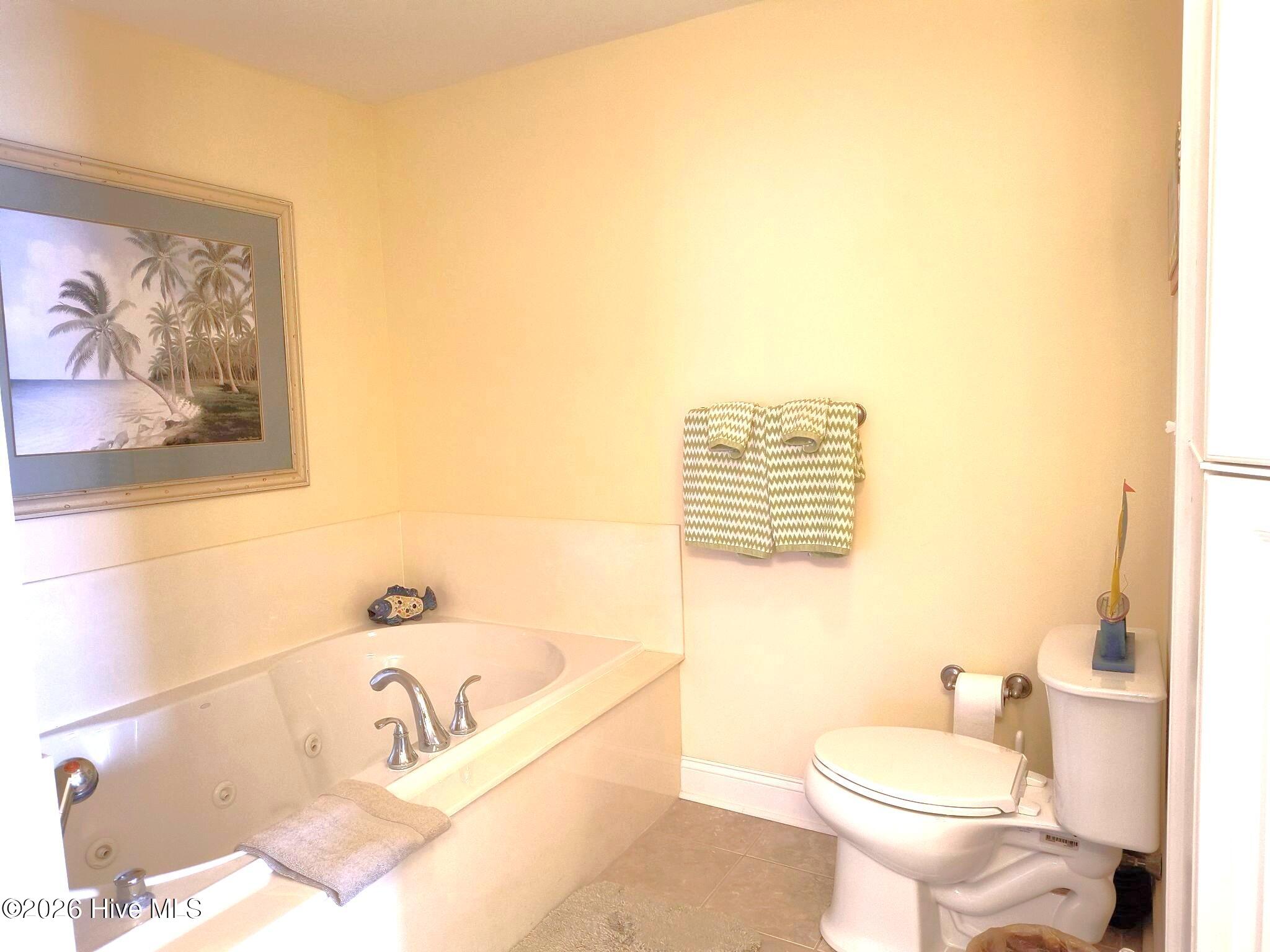 1550 Salter Path Road, Unit 209 Indian Beach, NC 28512 - Photo 16 of 31 MBath view 1
