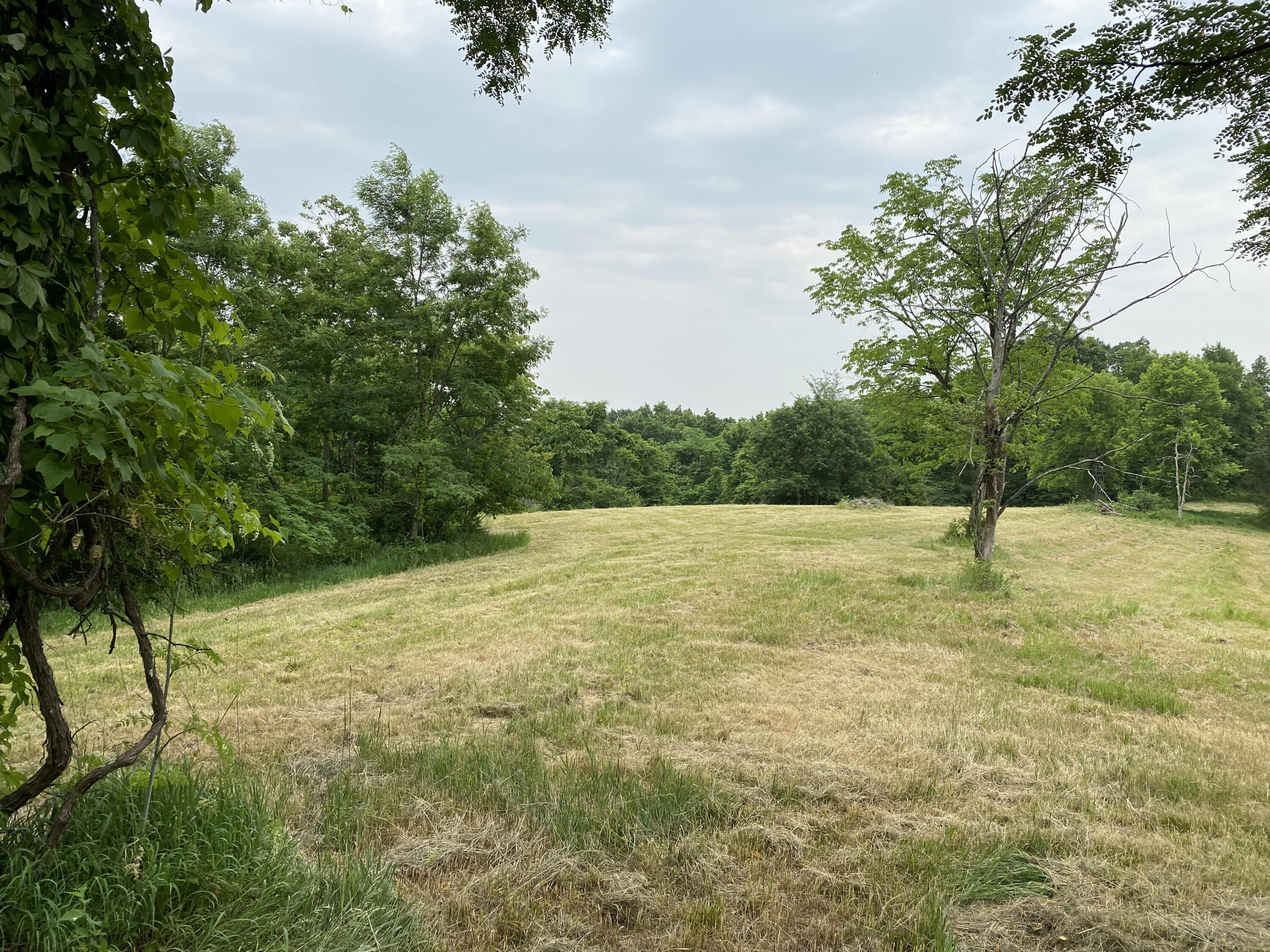 1100 Fairview Road Williamstown, KY 41097 - Photo 11 of 74 unnamed (15)