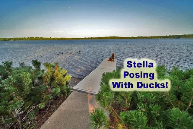 $325,000 | 18-25 Bass Lane, Weston, ME 04424