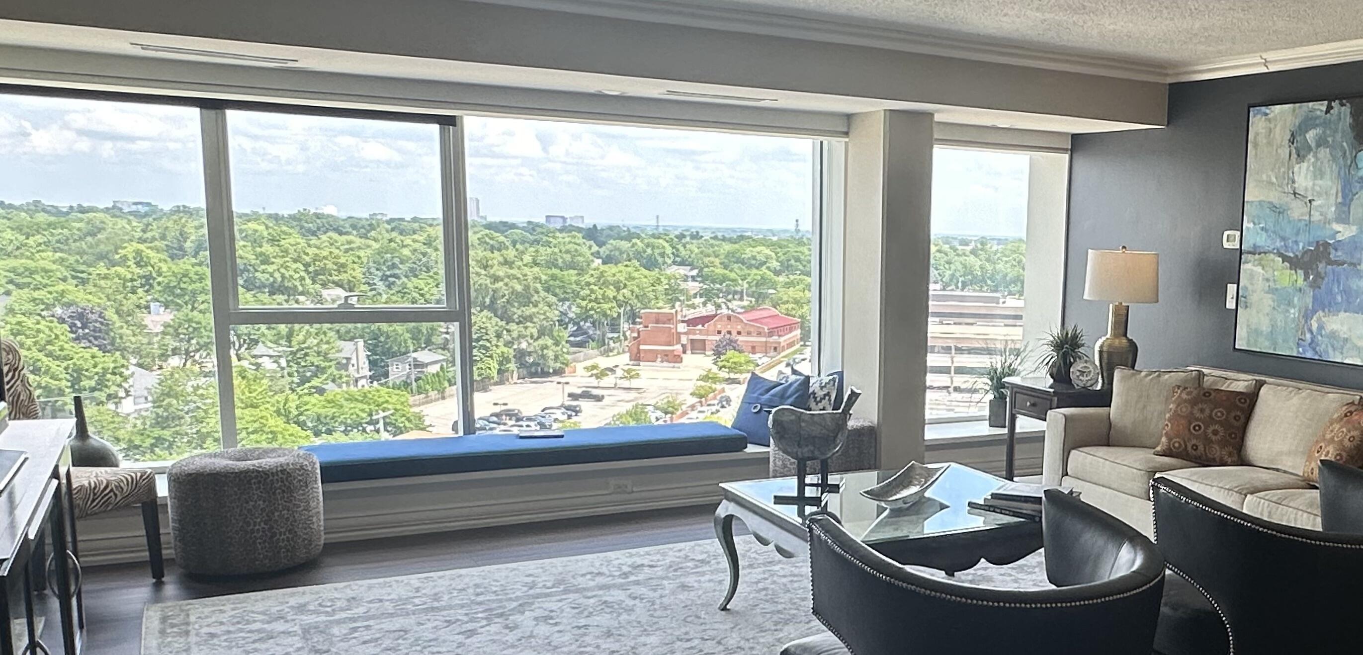 555 South Old Woodward Avenue, Unit 1508 Birmingham, MI 48009 - Photo 3 of 15 1. SUNSHINE! SUNSHINE! SUNSHINE! FABULO