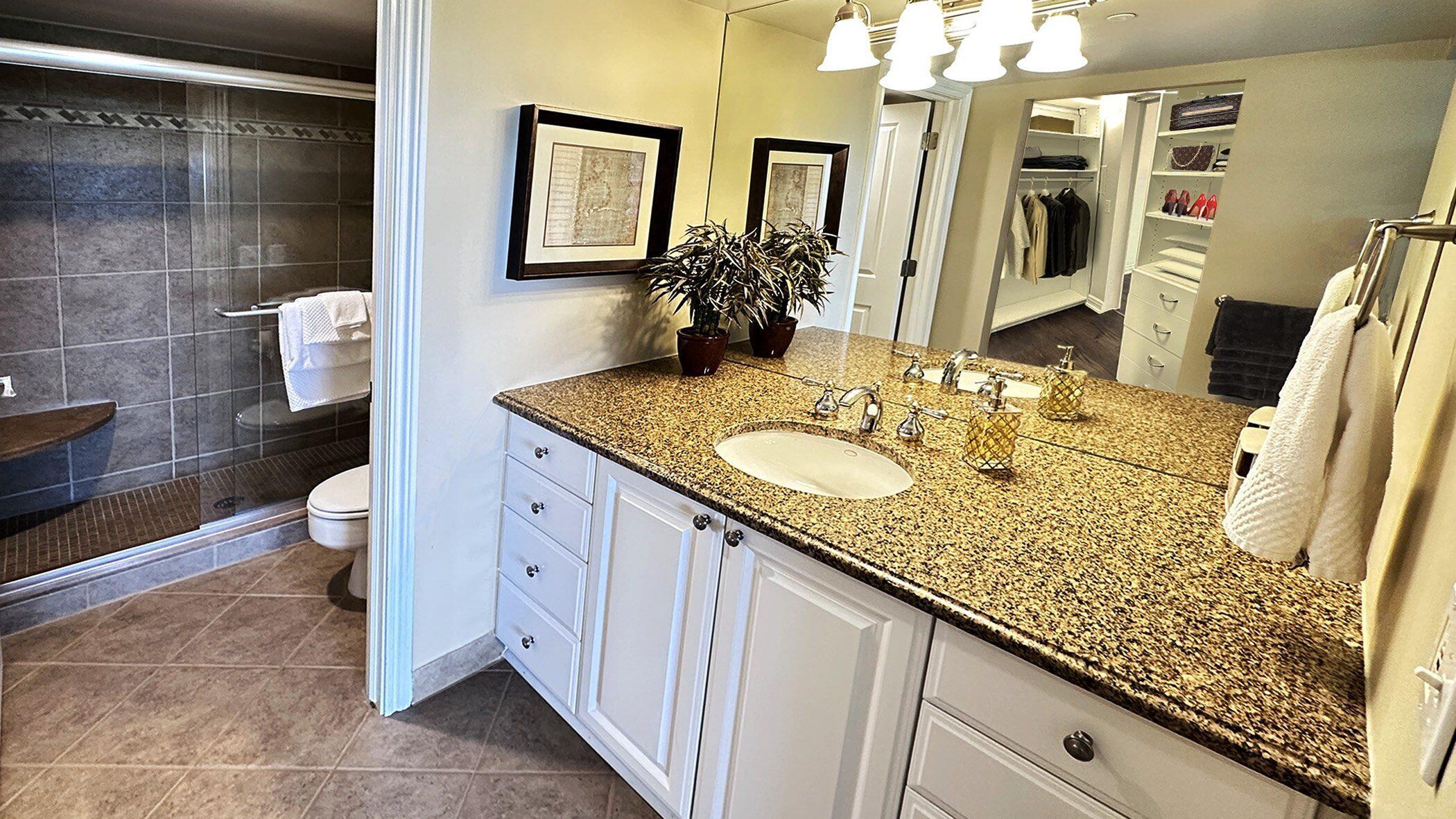 555 South Old Woodward Avenue, Unit 1508 Birmingham, MI 48009 - Photo 5 of 15 9. MASTER SHOWER AND VANITY TO CALIFORNI