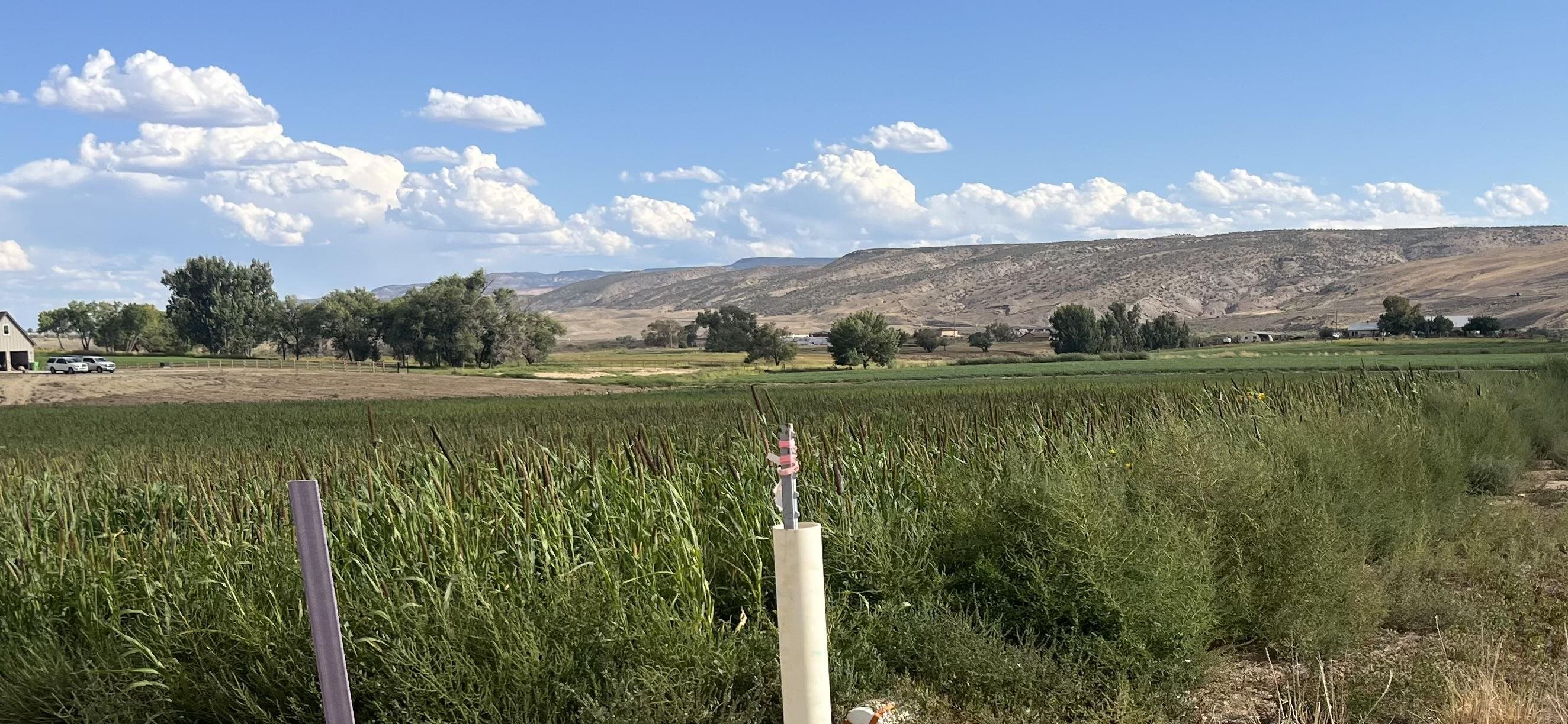 1664 8 Road Mack, CO 81525 - Photo 11 of 11 a view of a lake with a mountain in the background