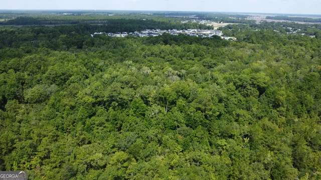an aerial view of residential houses with outdoor space and trees