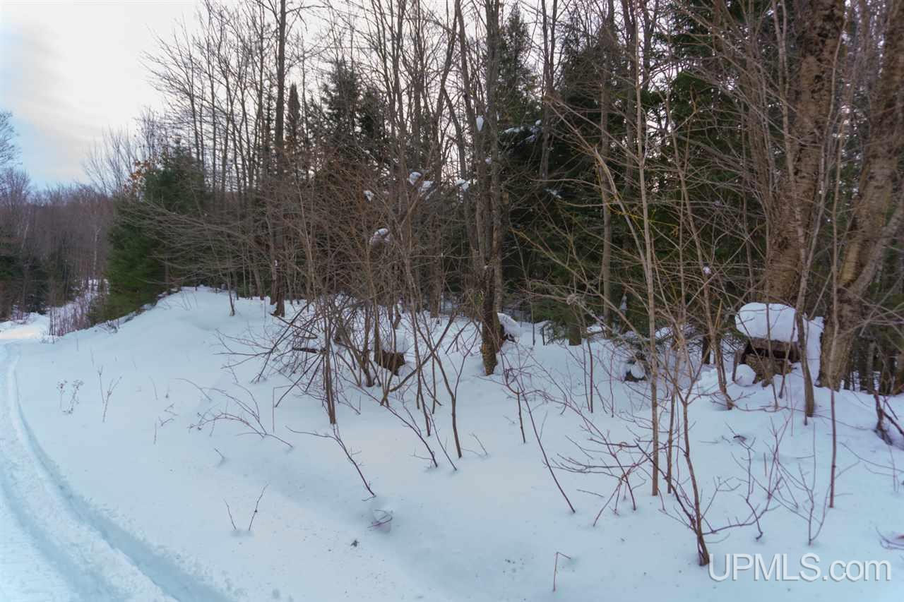 N2025 Co Road Marquette, MI 49855 - Photo 44 of 48