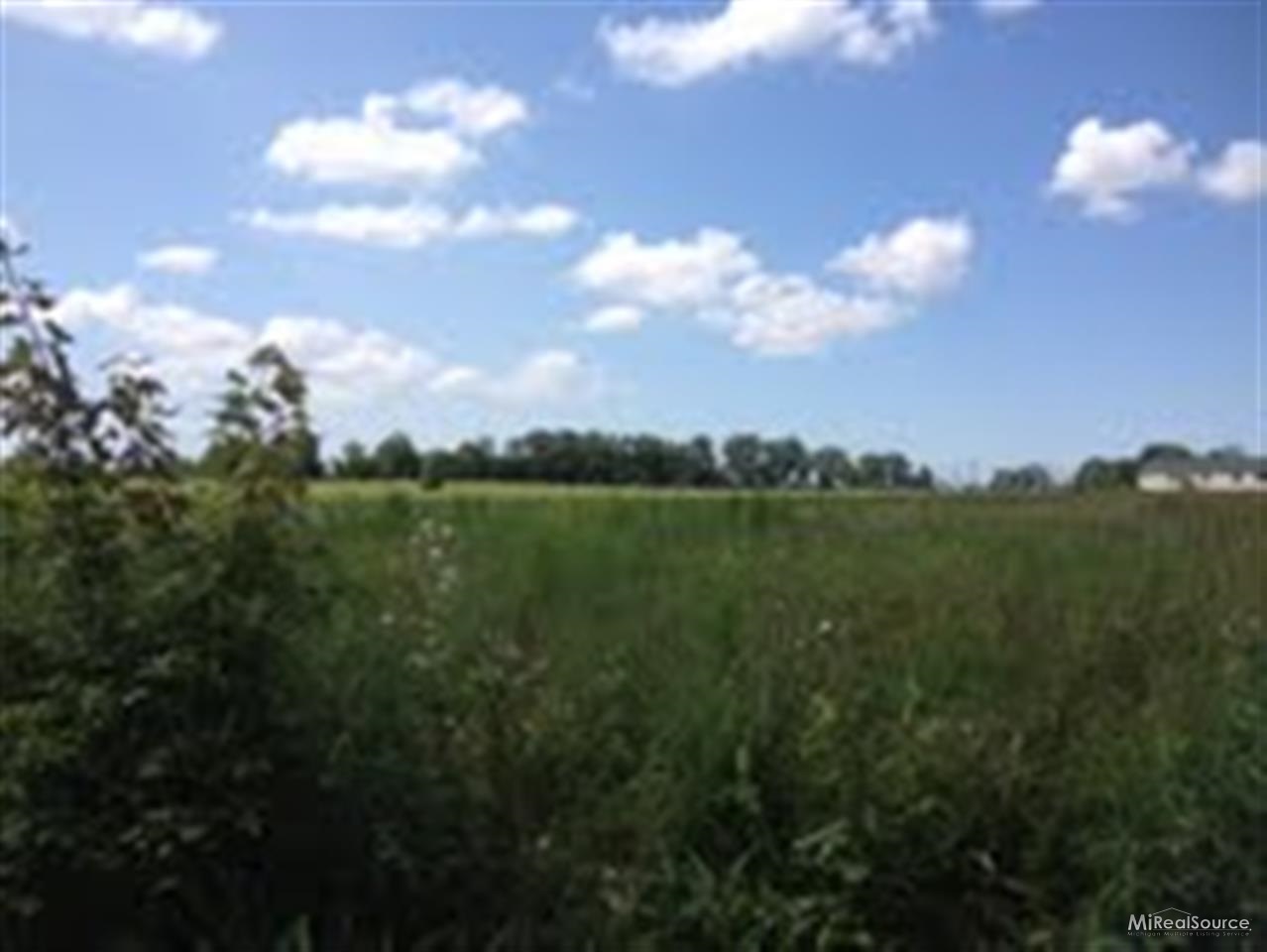 0 Duquette Road Melvin, MI 48454 - Photo 6 of 8 31160748-5.JPG