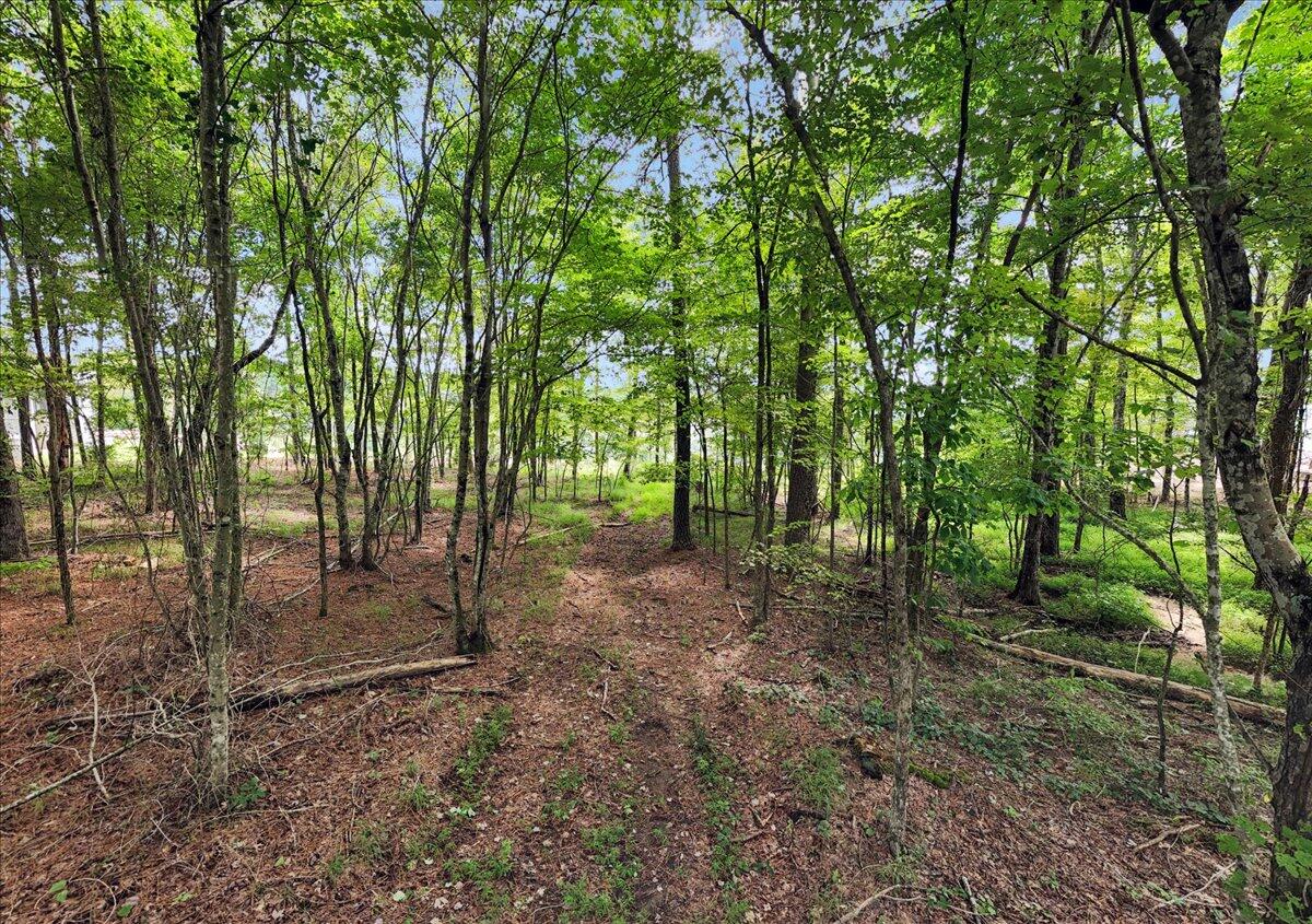0 Raulston Falls Drive, Unit JF 8A Jasper, TN 37347 - Photo 3 of 21 02-DJI_20250823133938_0047_D