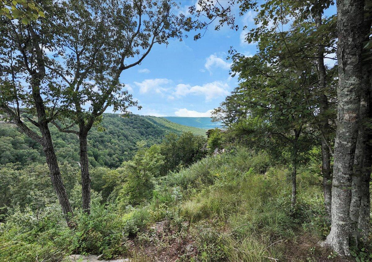 0 Raulston Falls Drive, Unit JF 8A Jasper, TN 37347 - Photo 4 of 21 03-DJI_20250823134031_0048_D