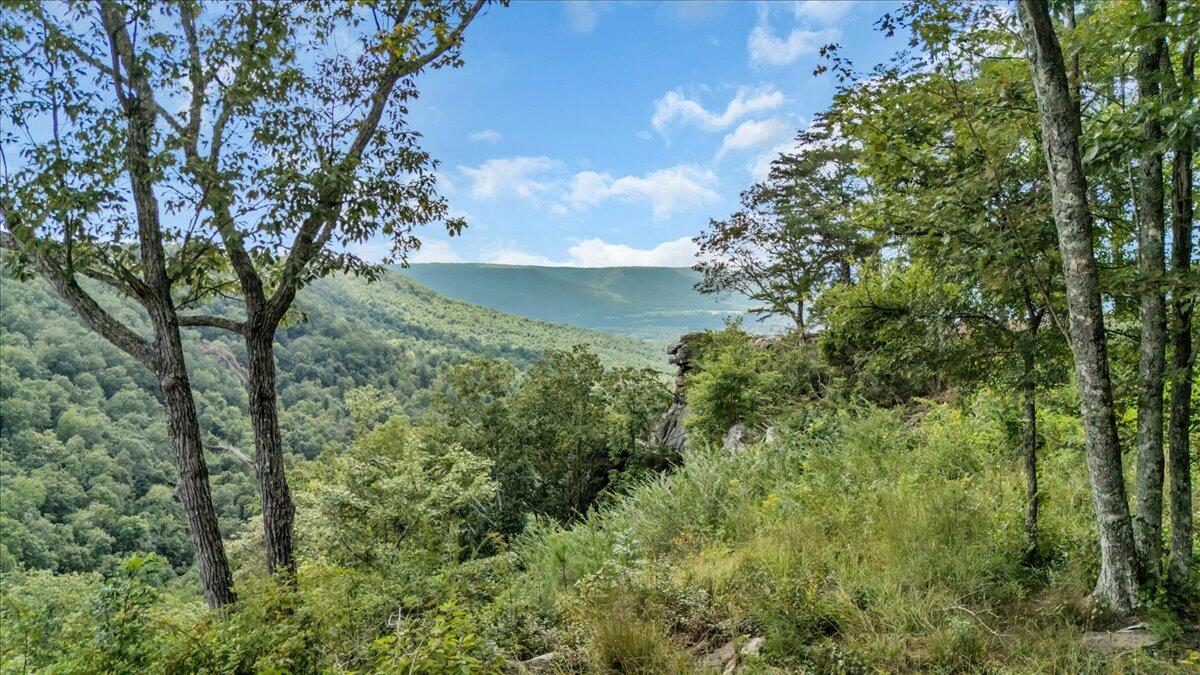 0 Raulston Falls Drive, Unit JF 8A Jasper, TN 37347 - Photo 5 of 21 04-DJI_20250823134102_0049_D