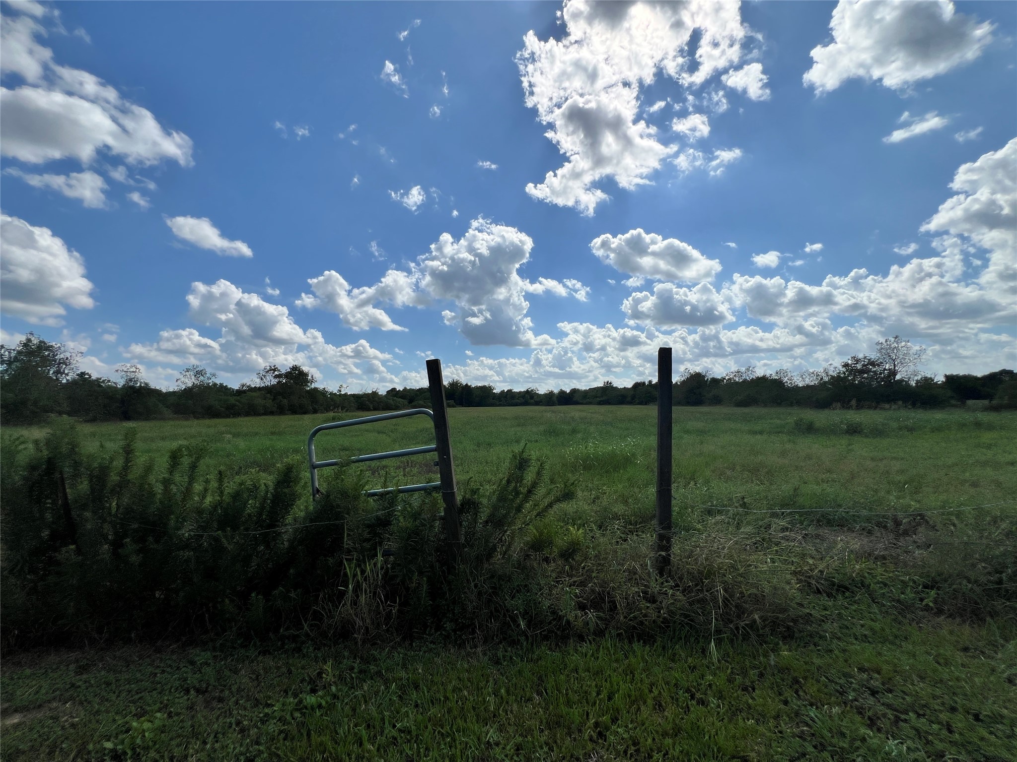 10234 Oberrender Road Needville, TX 77461 - Photo 5 of 14 Gallery Image 5