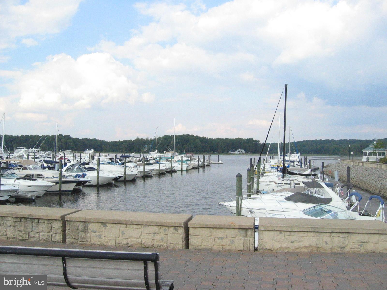 485 Harbor Side Street, Unit 710 Woodbridge, VA 22191 - Photo 26 of 26 a view of ocean with boats and trees in the background
