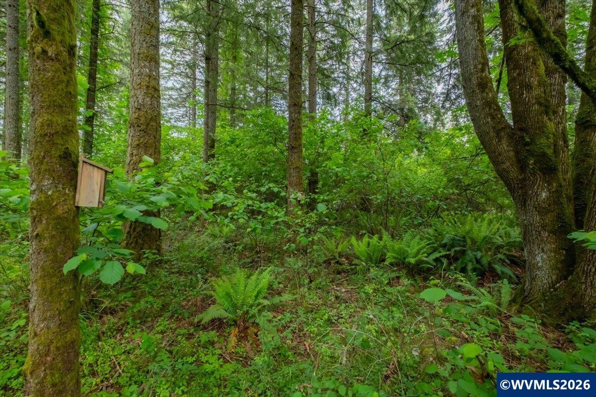 0057485 Next To 40587 Baptist Church Road Lebanon, OR 97355 - Photo 4 of 38