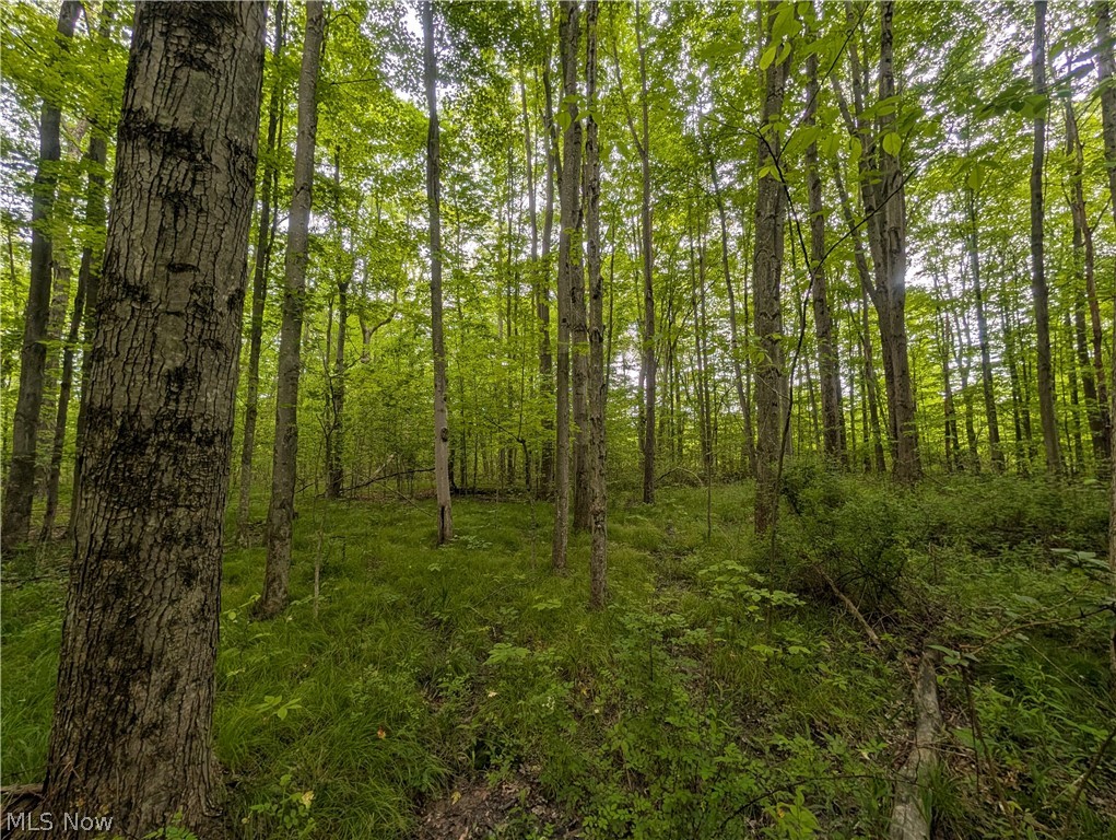 West Western Reserve Road Canfield, OH 44406 - Photo 10 of 15