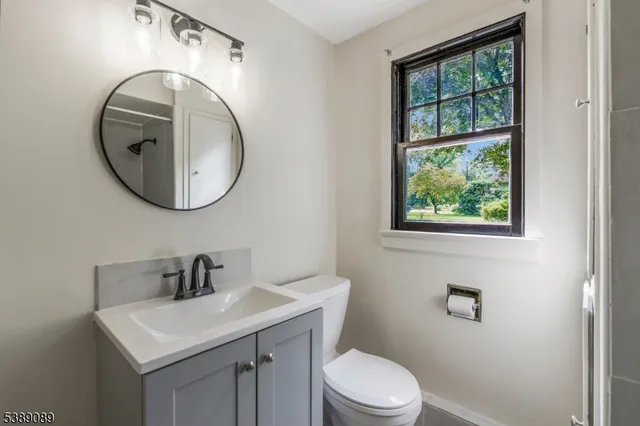 a bathroom with a toilet a sink and mirror