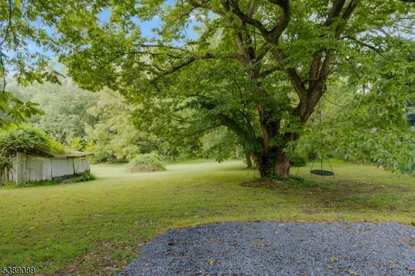 a backyard of a house with a yard and large trees