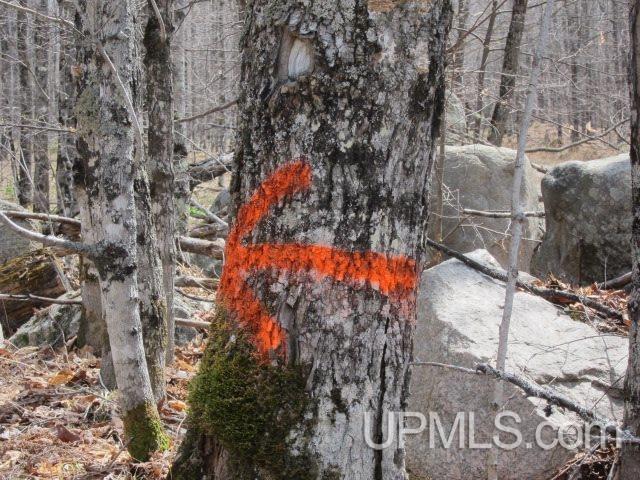 Four 4 Corners Road Crystal Falls, MI 49920 - Photo 16 of 17