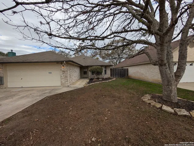 a view of a tree in front of a house with large tree