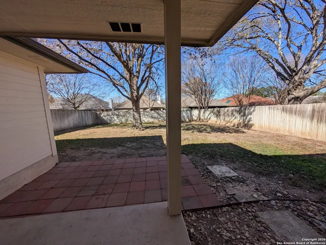 a view of a yard with a large tree